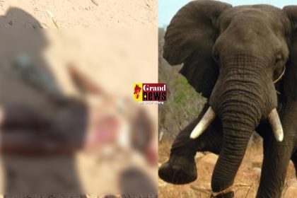 Jagesh Portal 13 1.jpg