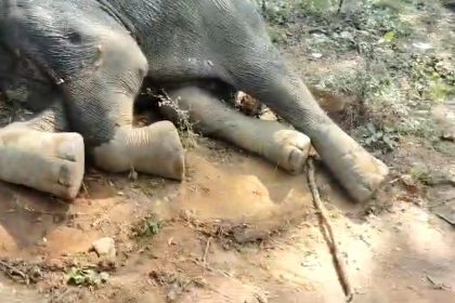 Screenshot 20241214 112356 Whatsapp