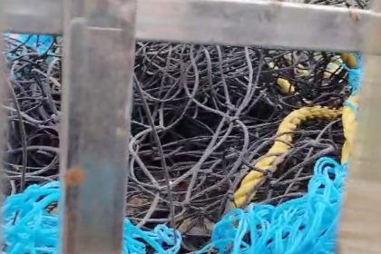 Screenshot 20241216 181349 Whatsapp