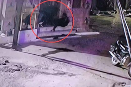 Whatsapp Image 2024 12 04 At 7.59.26 Pm 1.jpeg