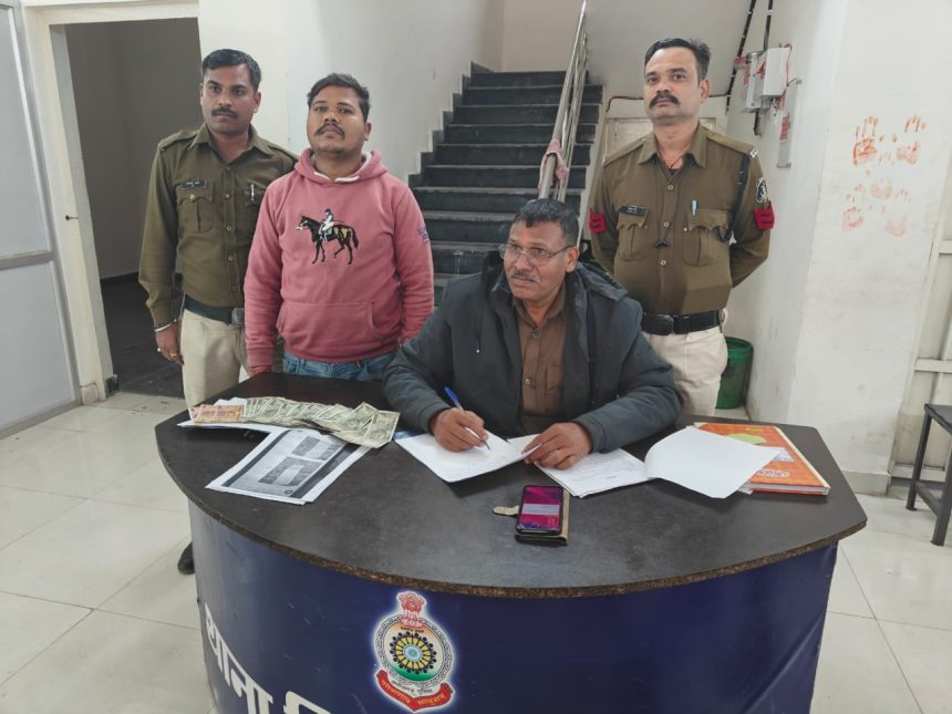 Whatsapp Image 2024 12 22 At 10.35.01 Pm.jpeg