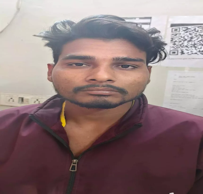 4309819 Untitled 16 Copy.webp.webp