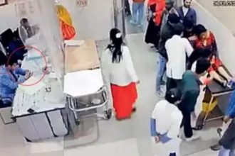 Leopard Shot Dead 54 10 23 1 22.jpg