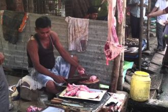 2023 11image 08 29 173502789newdelhinews.jpg