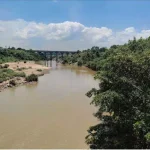 4388734 Untitled 29 Copy.webp.webp