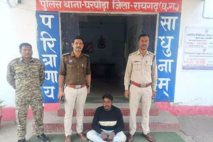 4393254 Untitled 19 Copy.webp.webp