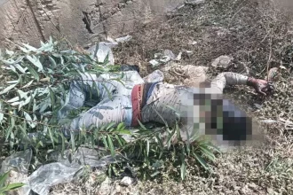 4395585 Untitled 14 Copy.webp.webp