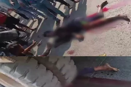 4395702 Untitled 40 Copy.webp.webp