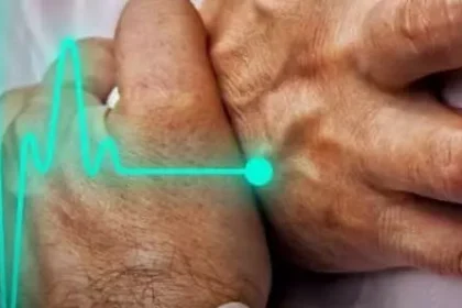 4405119 Untitled 8 Copy.webp.webp