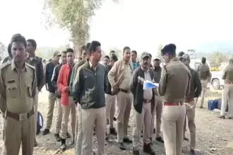 4406362 Korba.webp.webp