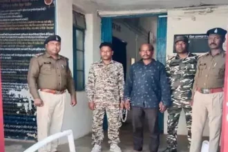 4414646 Untitled 24 Copy.webp.webp