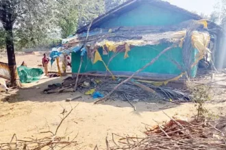 4414792 Untitled 55 Copy.webp.webp