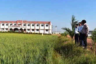 4419222 Untitled 72 Copy.webp.webp