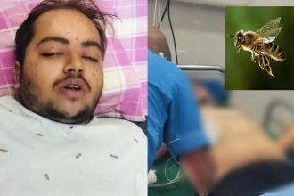 Jagesh Portal 18.jpg