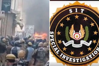 Untitled Design 3 68 29 4.jpg