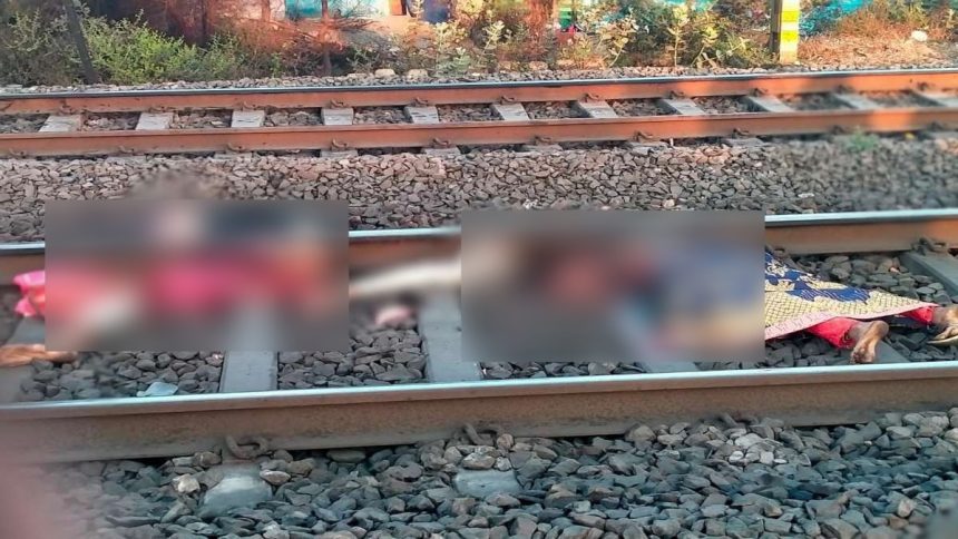 Whatsapp Image 2025 02 14 At 4.03.41 Pm.jpeg