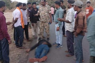 Whatsapp Image 2025 02 15 At 7.19.21 Pm.jpeg