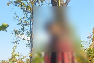 Whatsapp Image 2025 02 22 At 7.55.34 Pm.jpeg