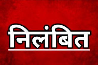 Whatsapp Image 2025 02 27 At 8.26.38 Pm.jpeg