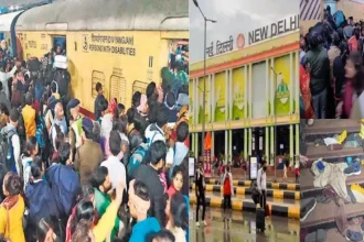 News Image 173987461718 02 2025 16 00 17.webp.webp