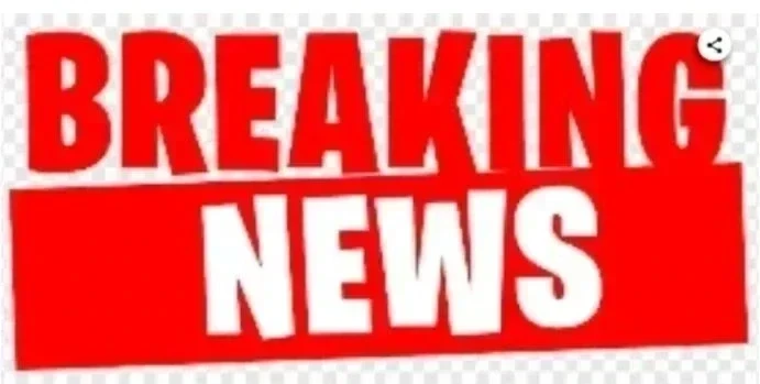 News Image 173994971719 02 2025 12 51 57.webp.webp