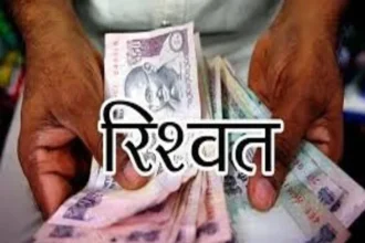 News Image 174014617821 02 2025 19 26 18.webp.webp