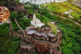 News Image 174024032222 02 2025 21 35 22.webp.webp