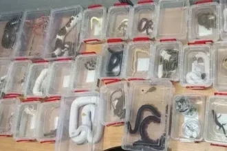 News Image 174032868223 02 2025 22 08 02.webp.webp