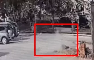 4422297 Untitled 75 Copy.webp.webp