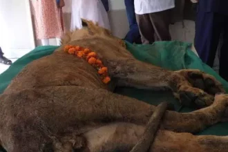 4427959 Untitled 55 Copy.webp.webp