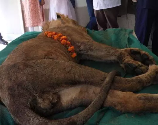 4427959 Untitled 55 Copy.webp.webp