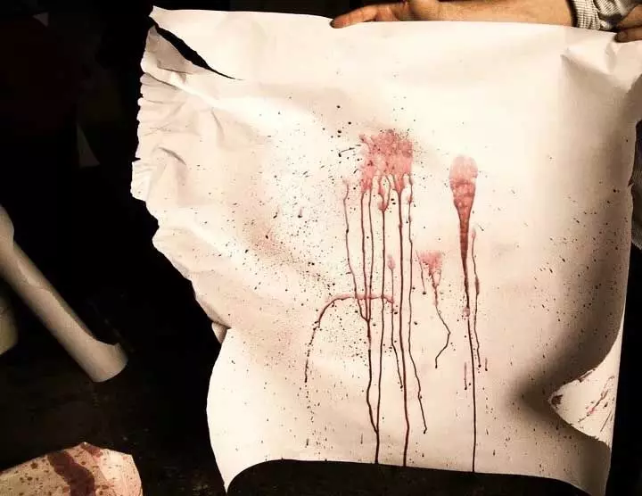 4430779 Untitled 38 Copy.webp.webp