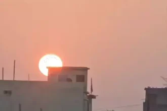 4431119 Untitled 21 Copy.webp.webp