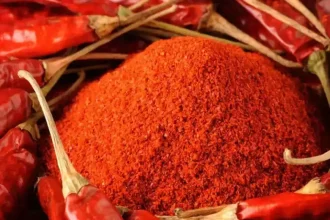 4432606 Untitled 69 Copy.webp.webp