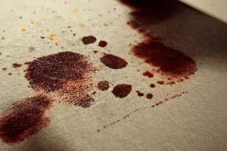 4435439 Untitled 75 Copy.webp.webp