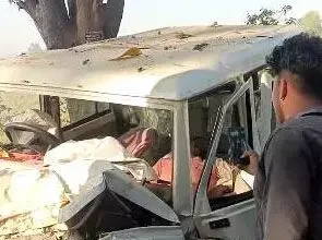 4436510 Untitled 31 Copy.webp.webp