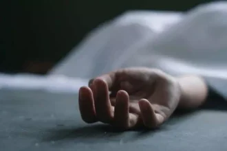 4437146 Untitled 12 Copy.webp.webp