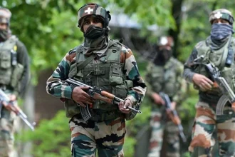 4441400 Untitled 5 Copy.webp.webp