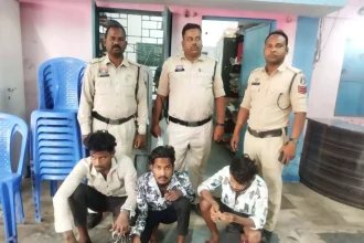 4444032 Untitled 62 Copy.webp.webp