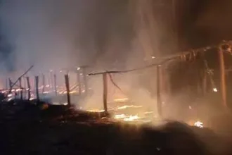 4450539 Untitled 11 Copy.webp.webp