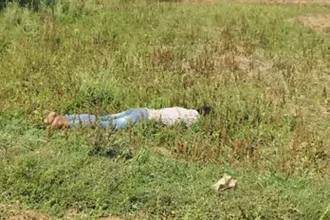 4451508 Murde.webp.webp