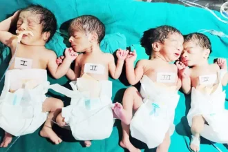 4460296 Untitled 38 Copy.webp.webp