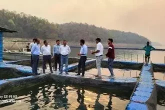 4461510 Untitled 60 Copy.webp.webp