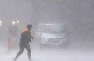 4461589 Untitled 12 Copy.webp.webp