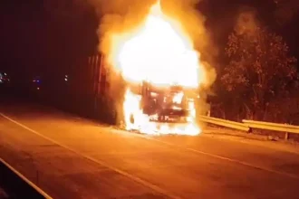 4461893 Untitled 25 Copy.webp.webp