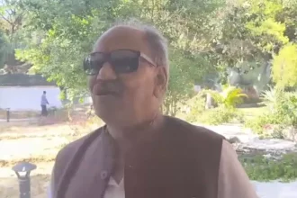 4463394 Rpr Copy.webp.webp