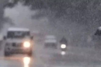 4464199 Imd.webp.webp