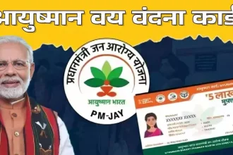 4465113 Untitled 44 Copy.webp.webp