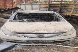 4466083 Untitled 2 Copy.webp.webp