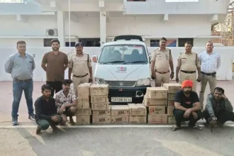 4486329 Untitled 50 Copy.webp.webp